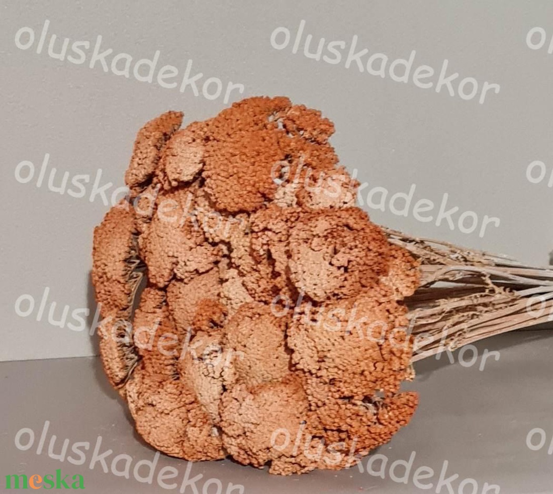 Achillea, Cickafark, natúr és színes, száraz dekor növény, 60 - 70cm - kellékek & szerszámok - dekorációs kellékek - egyéb kellékek - Meska.hu Achillea, Cickafark, natúr és színes, száraz dekor növény, 60 - 70cm - kellékek & szerszámok - dekorációs kellékek - egyéb kellékek - Meska.hu