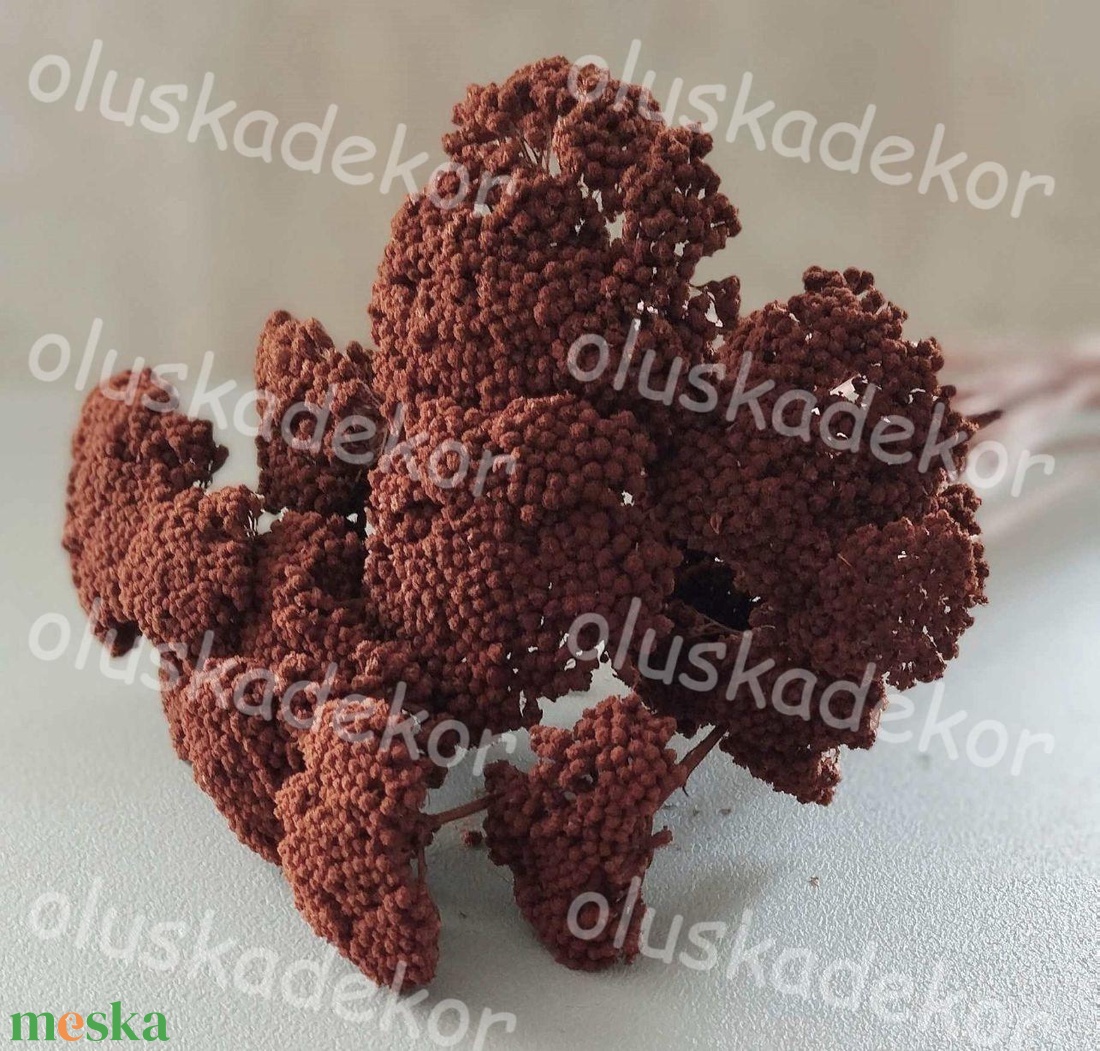 Achillea, Cickafark, natúr és színes, száraz dekor növény, 60 - 70cm - kellékek & szerszámok - dekorációs kellékek - egyéb kellékek - Meska.hu Achillea, Cickafark, natúr és színes, száraz dekor növény, 60 - 70cm - kellékek & szerszámok - dekorációs kellékek - egyéb kellékek - Meska.hu