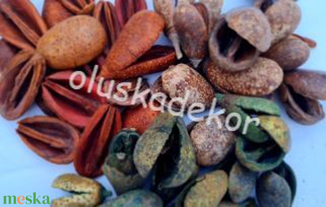 Mike termés több színben - kellékek & szerszámok - dekorációs kellékek - egyéb kellékek - Meska.hu Mike termés több színben - kellékek & szerszámok - dekorációs kellékek - egyéb kellékek - Meska.hu