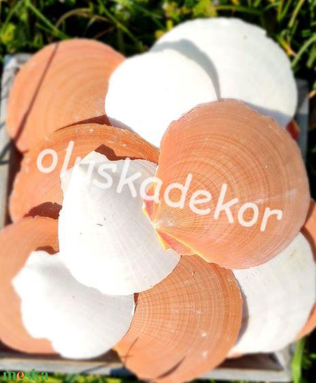 Amusium kagyló, barack, fehér vegyes csomag, 100gr./cs. - kellékek & szerszámok - dekorációs kellékek - egyéb kellékek - Meska.hu