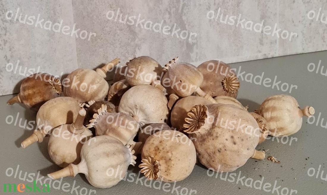 Mákfej, natúr, karácsonyi, tavaszi, nyári dekorációs száraznövény, 6db/cs. - otthon & életmód - dekoráció - asztal és polc dekoráció - asztaldísz - Meska.hu