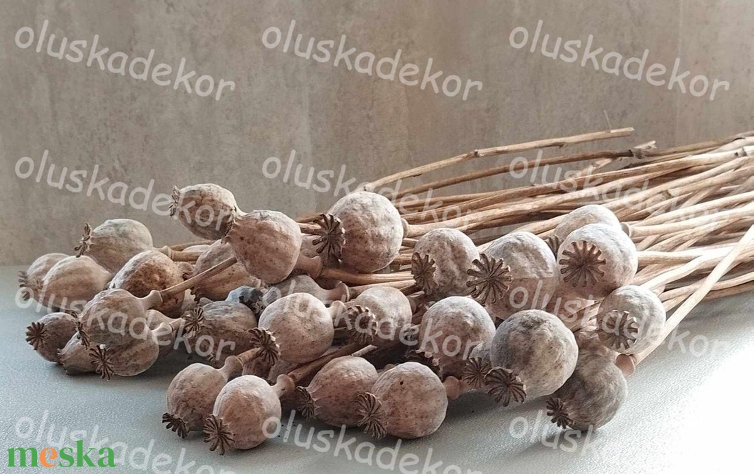 Mák, dekorációs növény, natúr, száras, szárított, 4 - 5cm fej - kellékek & szerszámok - dekorációs kellékek - termések, terméscsomagok - Meska.hu
