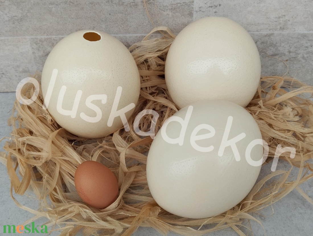 Strucctojás, strucc tojás, natúr, igazi, kifújt, fertőtlenített, dekorációs alapanyag, 15cm.  - kellékek & szerszámok - dekorációs kellékek - figurák - Meska.hu