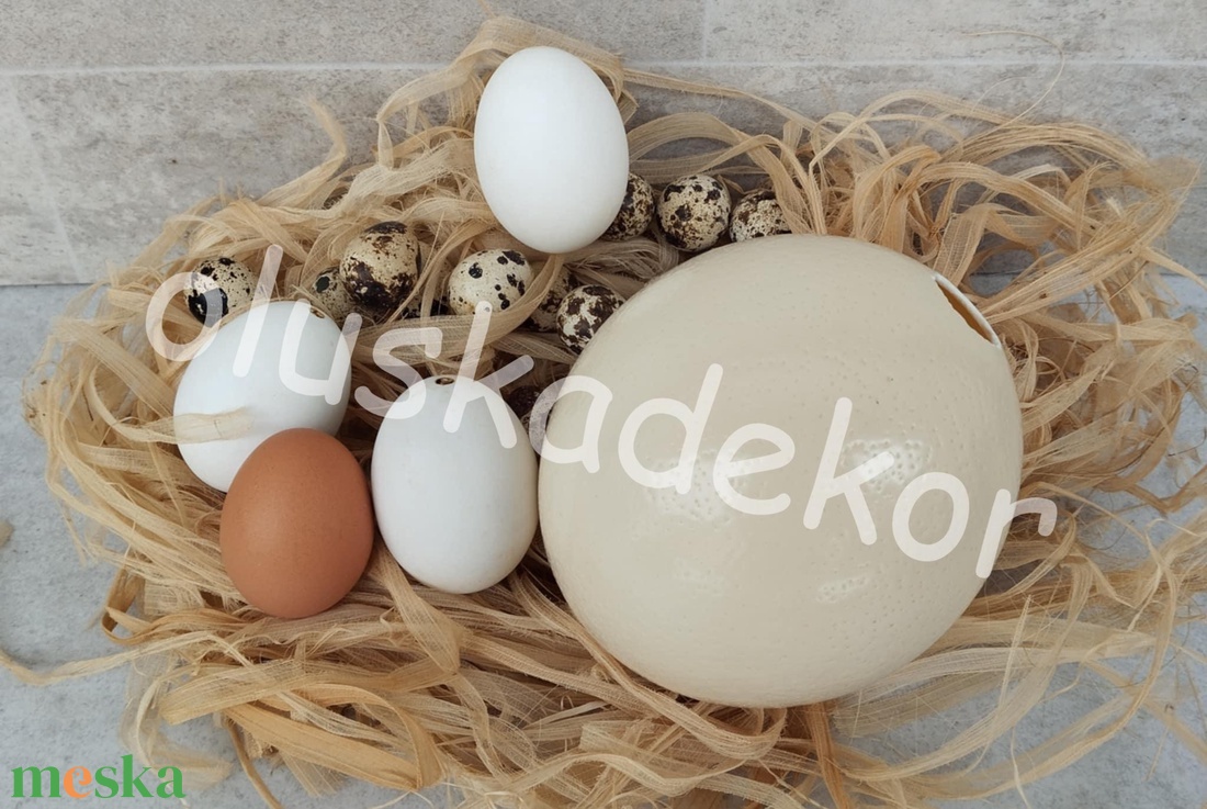 Kacsatojás, tojás, fehér, igazi, kifújt, húsvéti dekorációs alapanyag - kellékek & szerszámok - dekorációs kellékek - figurák - Meska.hu