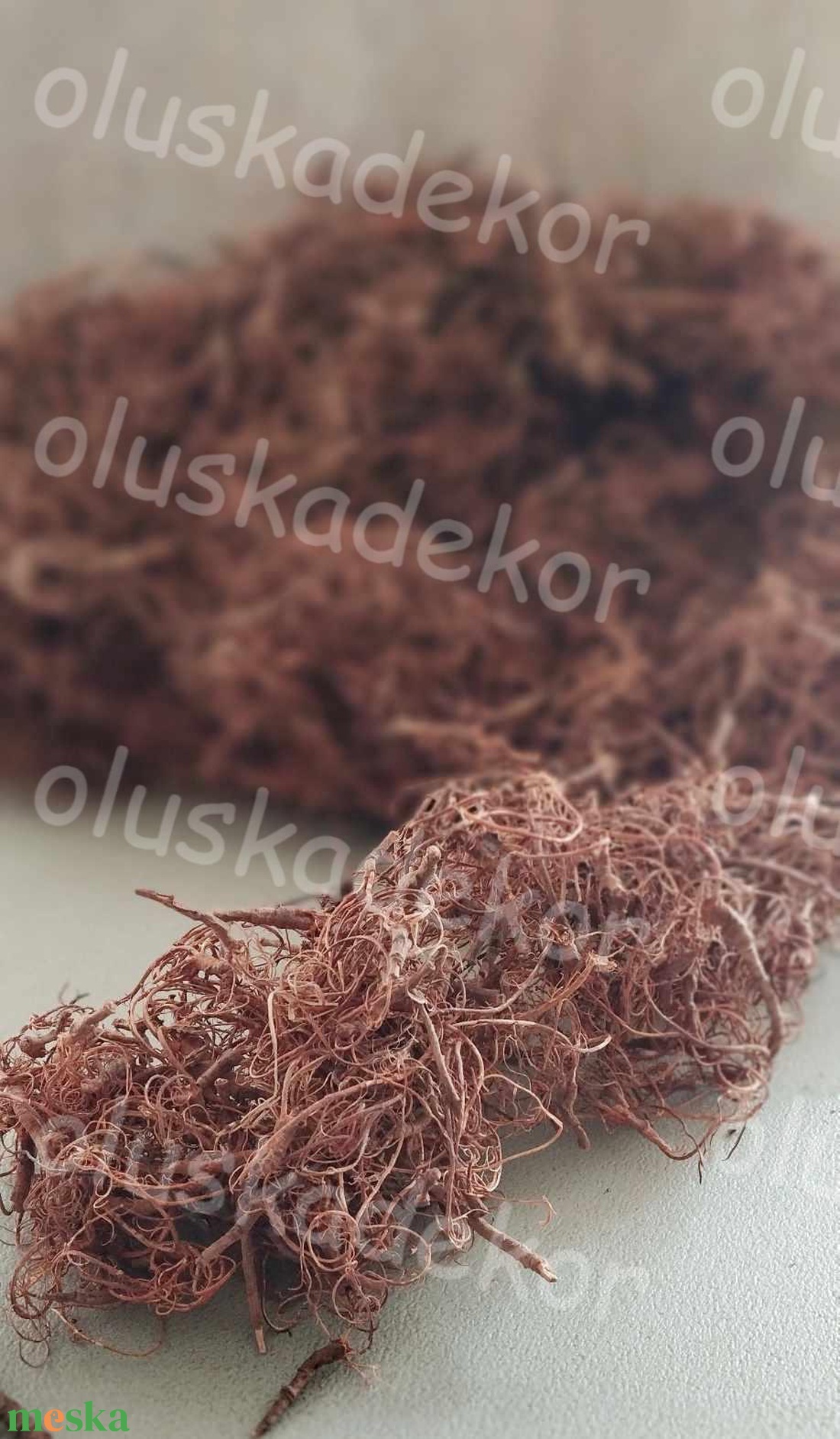 Kócos moha, Curly moos, gyökér, dekorációs száraznövény, natúr, zöld, 50gr./cs. - kellékek & szerszámok - dekorációs kellékek - termések, terméscsomagok - Meska.hu