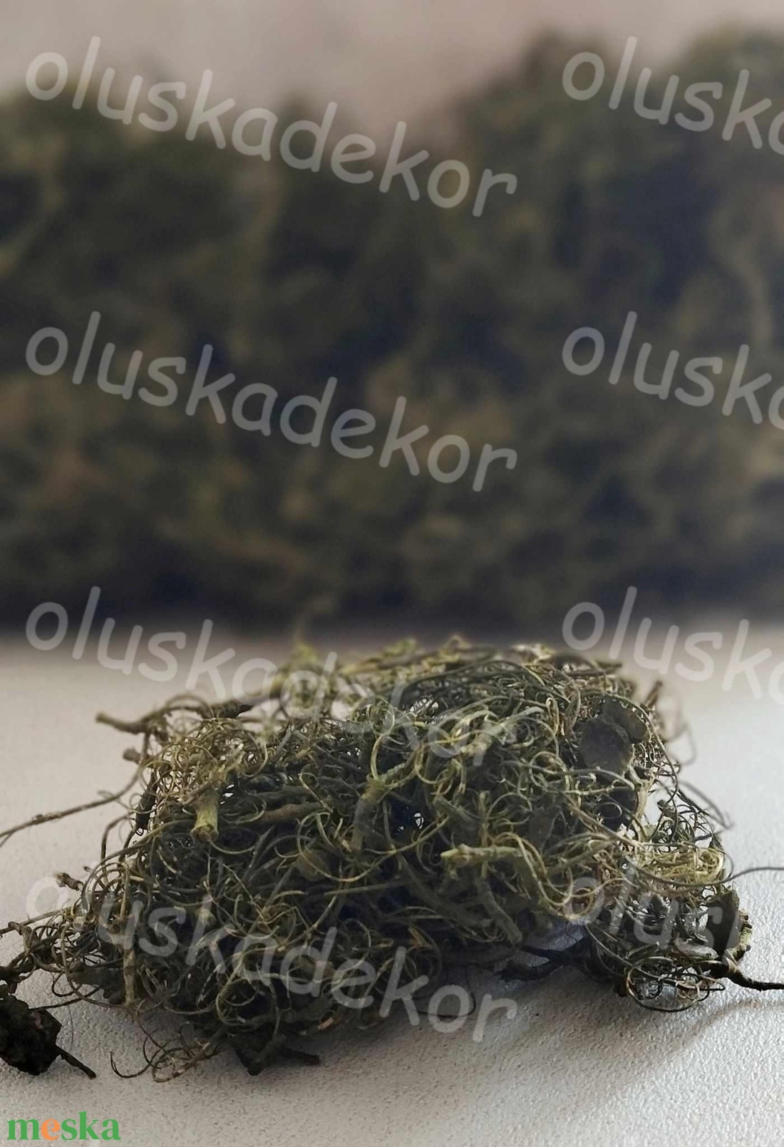 Kócos moha, Curly moos, gyökér, dekorációs száraznövény, natúr, zöld, 50gr./cs. - kellékek & szerszámok - dekorációs kellékek - termések, terméscsomagok - Meska.hu