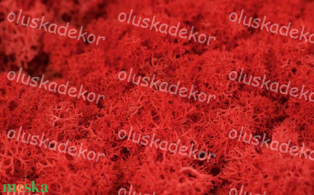 Izlandi zuzmó, Rénszarvas moha természetes, tartósított dekorációs alapanyag, sok szín, 50gr./cs. - kellékek & szerszámok - dekorációs kellékek - egyéb kellékek - Meska.hu