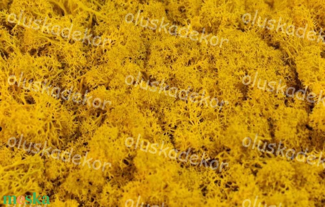 Izlandi zuzmó, Rénszarvas moha természetes, tartósított dekorációs alapanyag, sok szín, 50gr./cs. - kellékek & szerszámok - dekorációs kellékek - egyéb kellékek - Meska.hu