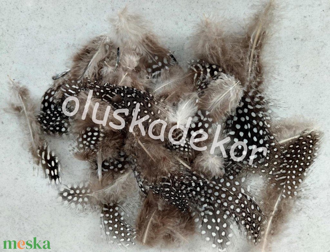 Gyöngytyúk toll, igazi, húsvéti dekorációs alapanyag, 3 - 15cm, 50db/cs. - kellékek & szerszámok - dekorációs kellékek - madártoll - Meska.hu