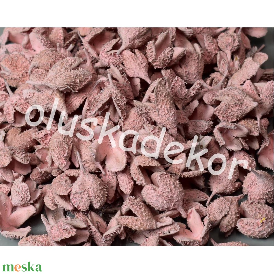 Bükk kupacs, száraztermés, nagy, gazdaságos kiszerelésben, dekorációs alapanyag - kellékek & szerszámok - dekorációs kellékek - termések, terméscsomagok - Meska.hu