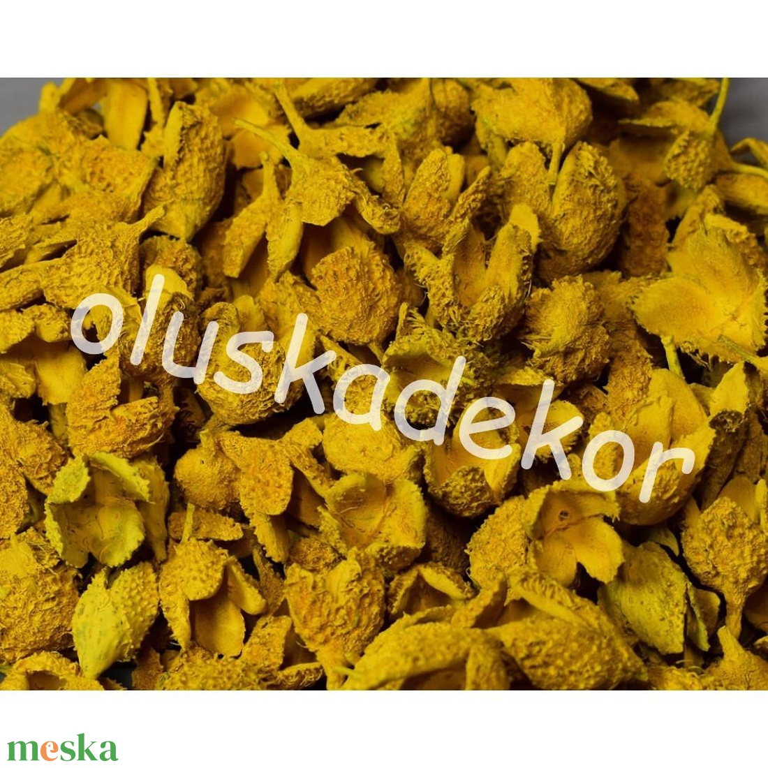 Bükk kupacs, száraztermés, nagy, gazdaságos kiszerelésben, dekorációs alapanyag - kellékek & szerszámok - dekorációs kellékek - termések, terméscsomagok - Meska.hu