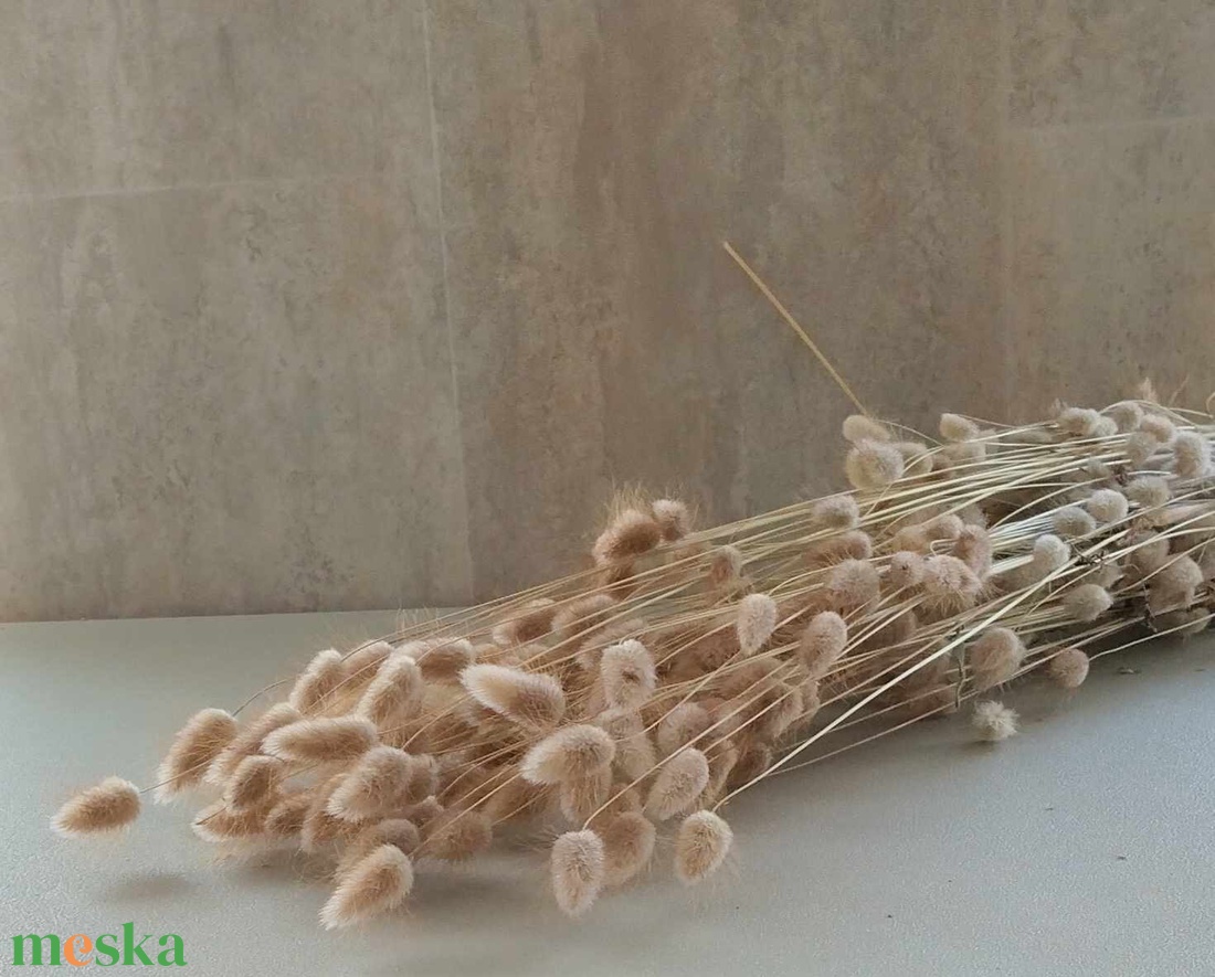 Lagurus, nyuszifül, szárított dekorációs növény, natúr, száraznövény, 100gr./cs. - kellékek & szerszámok - dekorációs kellékek - egyéb kellékek - Meska.hu