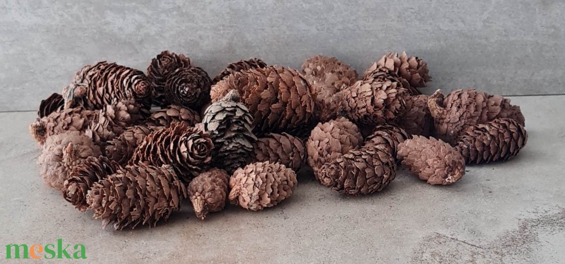 Vörösfenyő toboz, szátaztermés, natúr, menta, narancs, dekorációs alapanyag, 50gr./cs. - kellékek & szerszámok - dekorációs kellékek - termések, terméscsomagok - Meska.hu