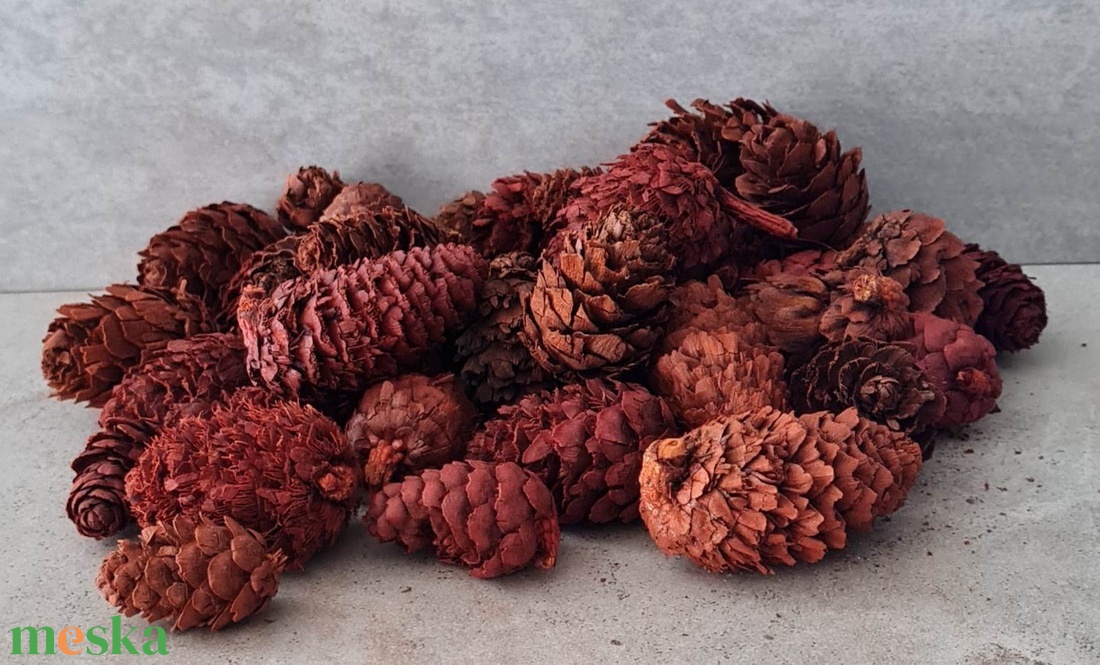 Vörösfenyő toboz, szátaztermés, natúr, menta, narancs, dekorációs alapanyag, 50gr./cs. - kellékek & szerszámok - dekorációs kellékek - termések, terméscsomagok - Meska.hu