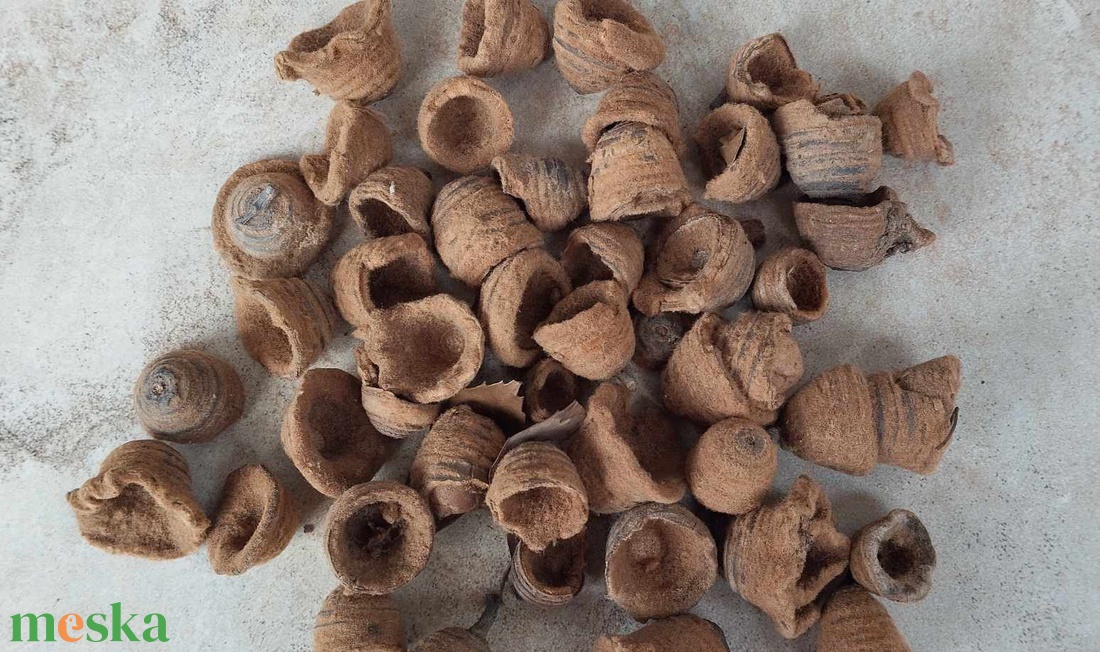 Tölgykupak, bársonyos, szőrös tölgykupak, száraztermés, dekorációs alapanyag, 30gr./cs. - kellékek & szerszámok - dekorációs kellékek - egyéb kellékek - Meska.hu