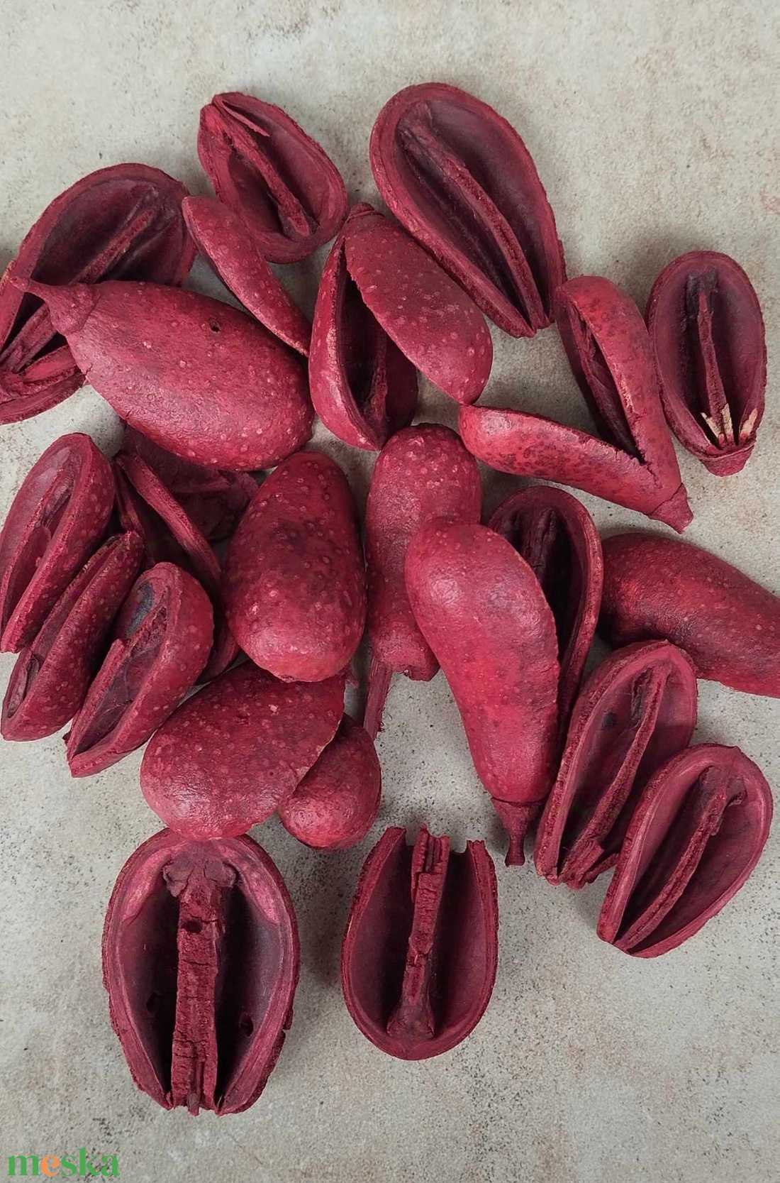 Mike száraztermés, dekorációs alapanyag, őszi színekben, 50gr./cs. - kellékek & szerszámok - dekorációs kellékek - termések, terméscsomagok - Meska.hu