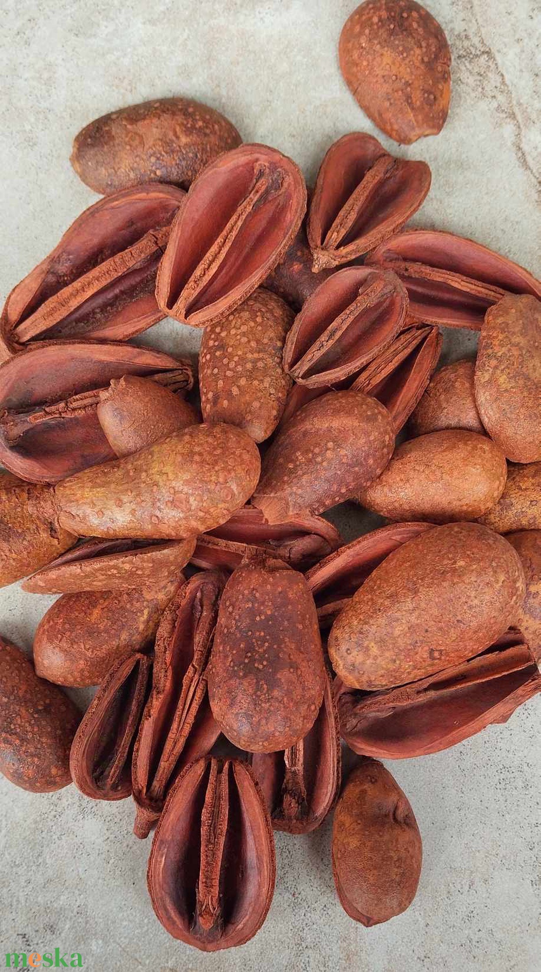 Mike száraztermés, dekorációs alapanyag, őszi színekben, 50gr./cs. - kellékek & szerszámok - dekorációs kellékek - termések, terméscsomagok - Meska.hu