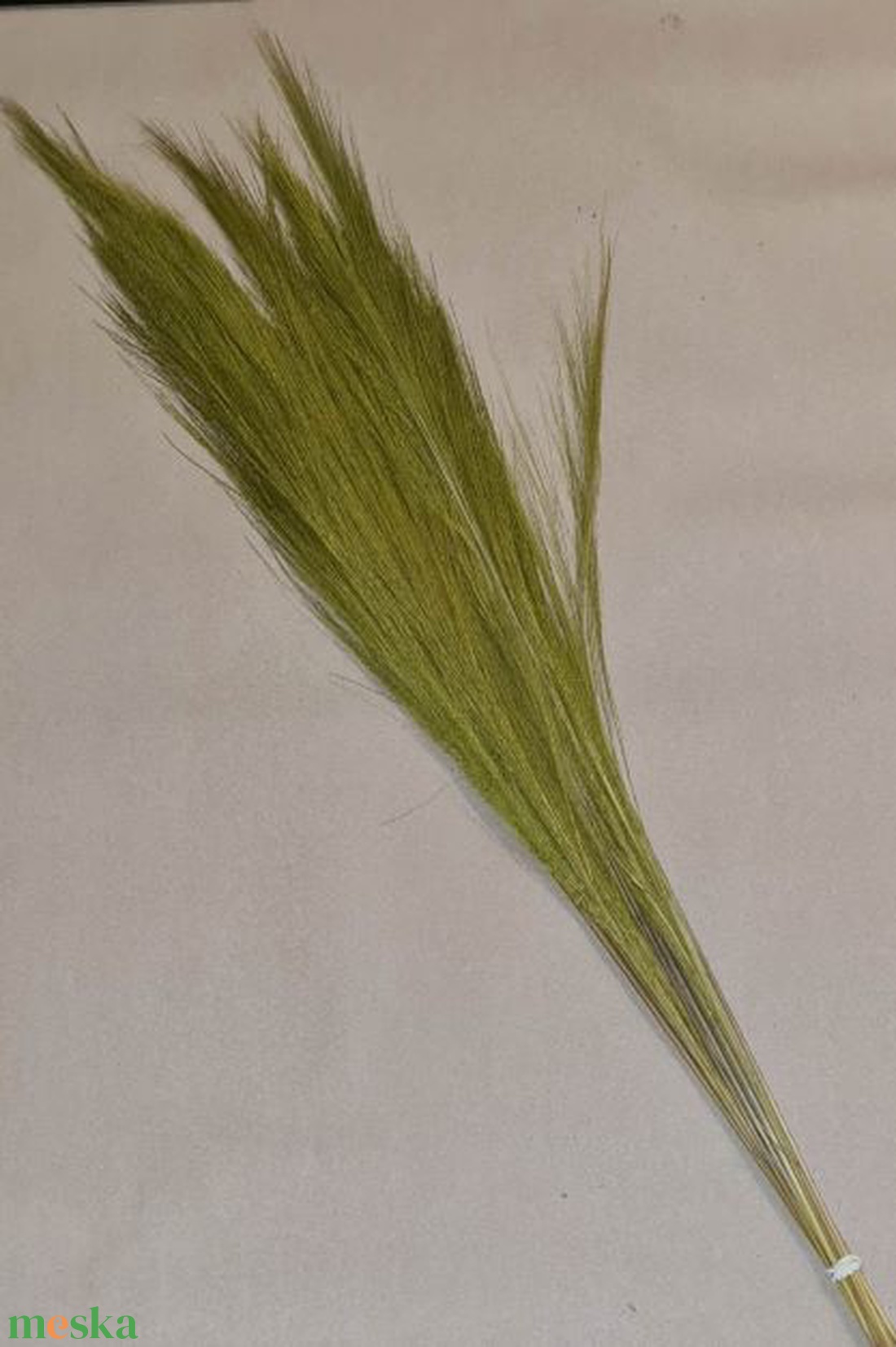 Tollseprű nád, szárított dekorációs növény, zöld, 90 - 100cm, kb.100gr /cs. - kellékek & szerszámok - dekorációs kellékek - egyéb kellékek - Meska.hu