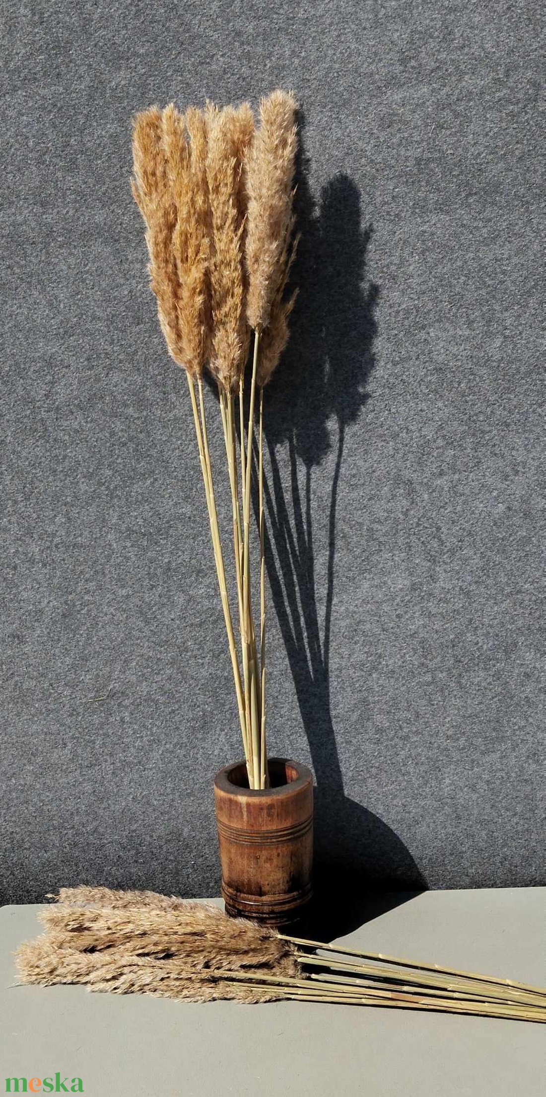 Pampafű, 120cm, 25 - 35cm buga, natúr, dekor, szárított növény - kellékek & szerszámok - dekorációs kellékek - egyéb kellékek - Meska.hu