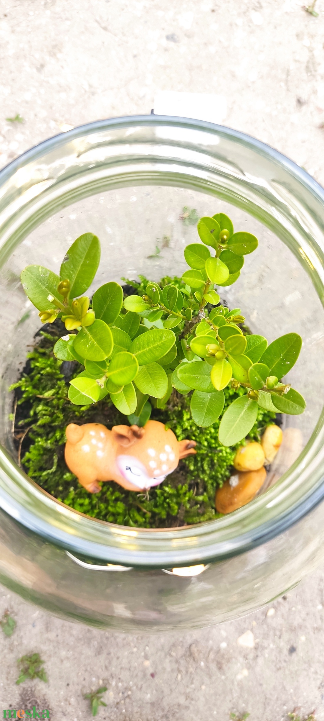 Kézműves florárium őzikével � mohás mini üvegkert  - otthon & életmód - dekoráció - asztal és polc dekoráció - florárium, terrárium - Meska.hu