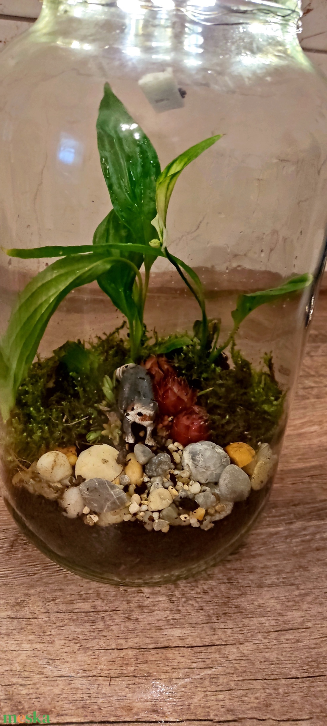 Kézzel készült florárium (mini üvegkert)  - otthon & életmód - dekoráció - asztal és polc dekoráció - florárium, terrárium - Meska.hu