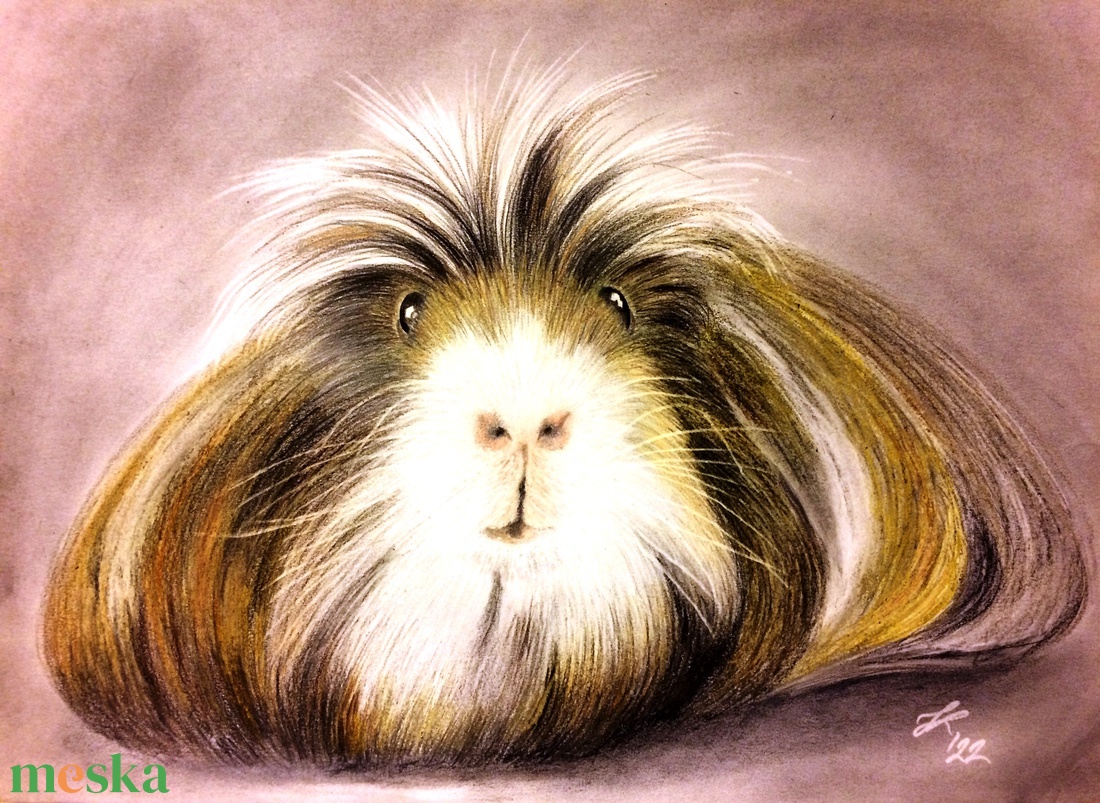 Állati jó arcok! Színesceruza tengerimalac portré A/3 méretben, üvegezett kapcsos keretben - művészet - portré & karikatúra - portré - Meska.hu