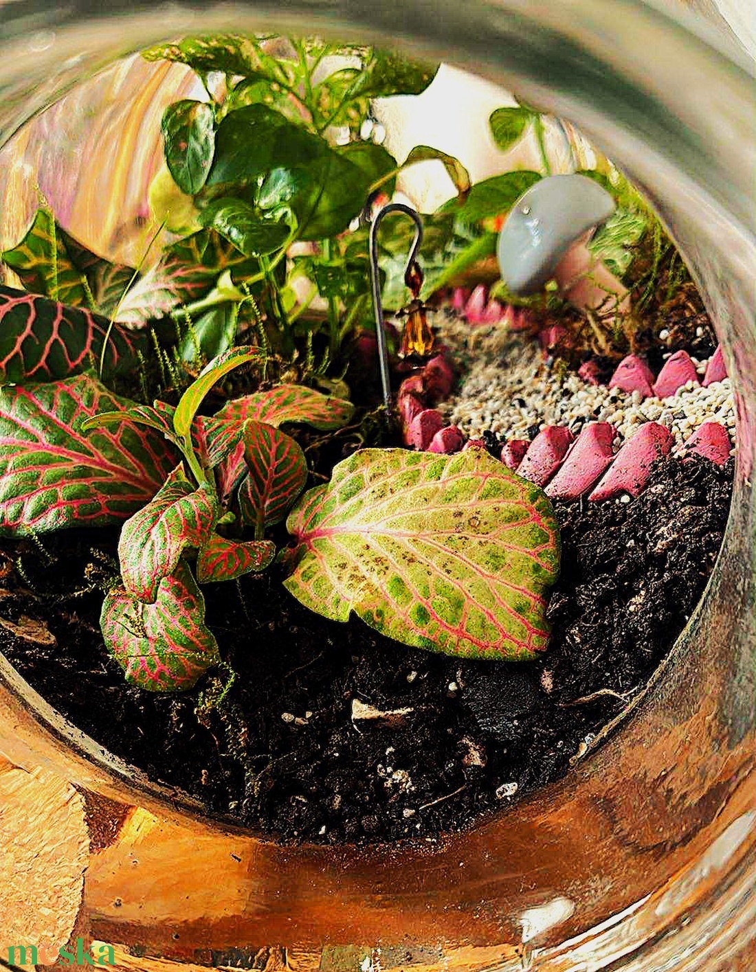 Lámpionos ösvény - 3 L-es önfenntartó florárium - otthon & életmód - dekoráció - asztal és polc dekoráció - florárium, terrárium - Meska.hu