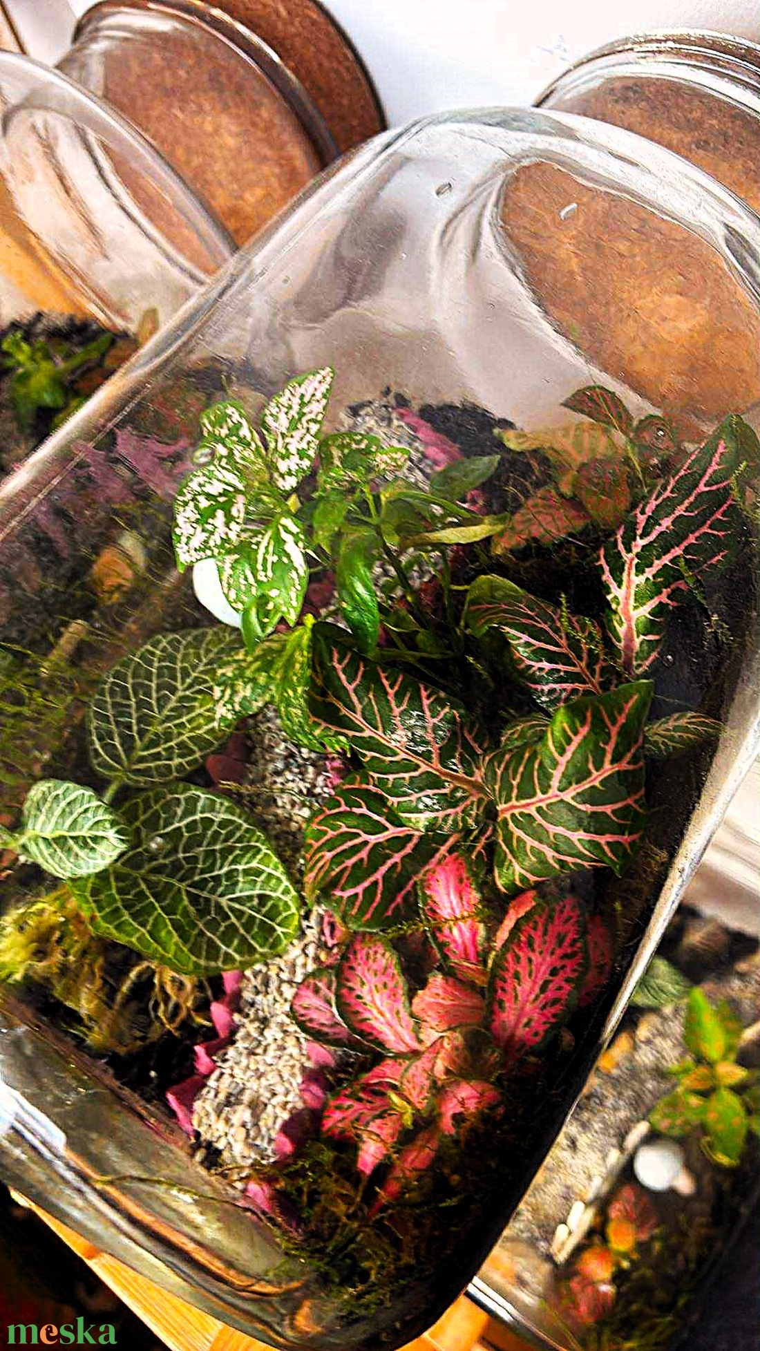 Lámpionos ösvény - 3 L-es önfenntartó florárium - otthon & életmód - dekoráció - asztal és polc dekoráció - florárium, terrárium - Meska.hu