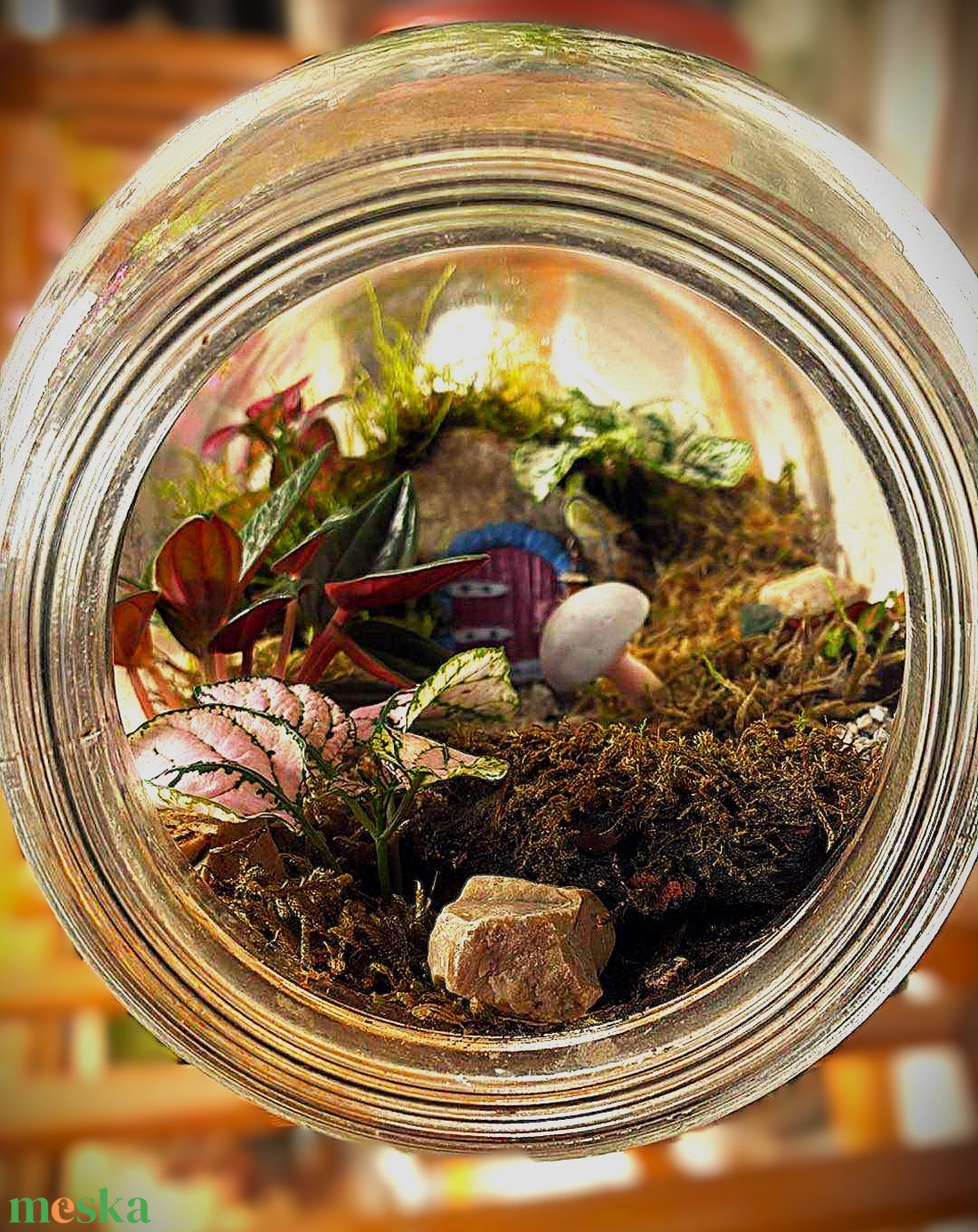 Manólak a palackban - 5 L-es önfenntartó florárium - otthon & életmód - dekoráció - asztal és polc dekoráció - florárium, terrárium - Meska.hu