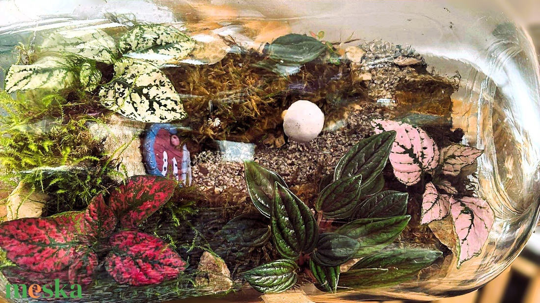 Manólak a palackban - 5 L-es önfenntartó florárium - otthon & életmód - dekoráció - asztal és polc dekoráció - florárium, terrárium - Meska.hu