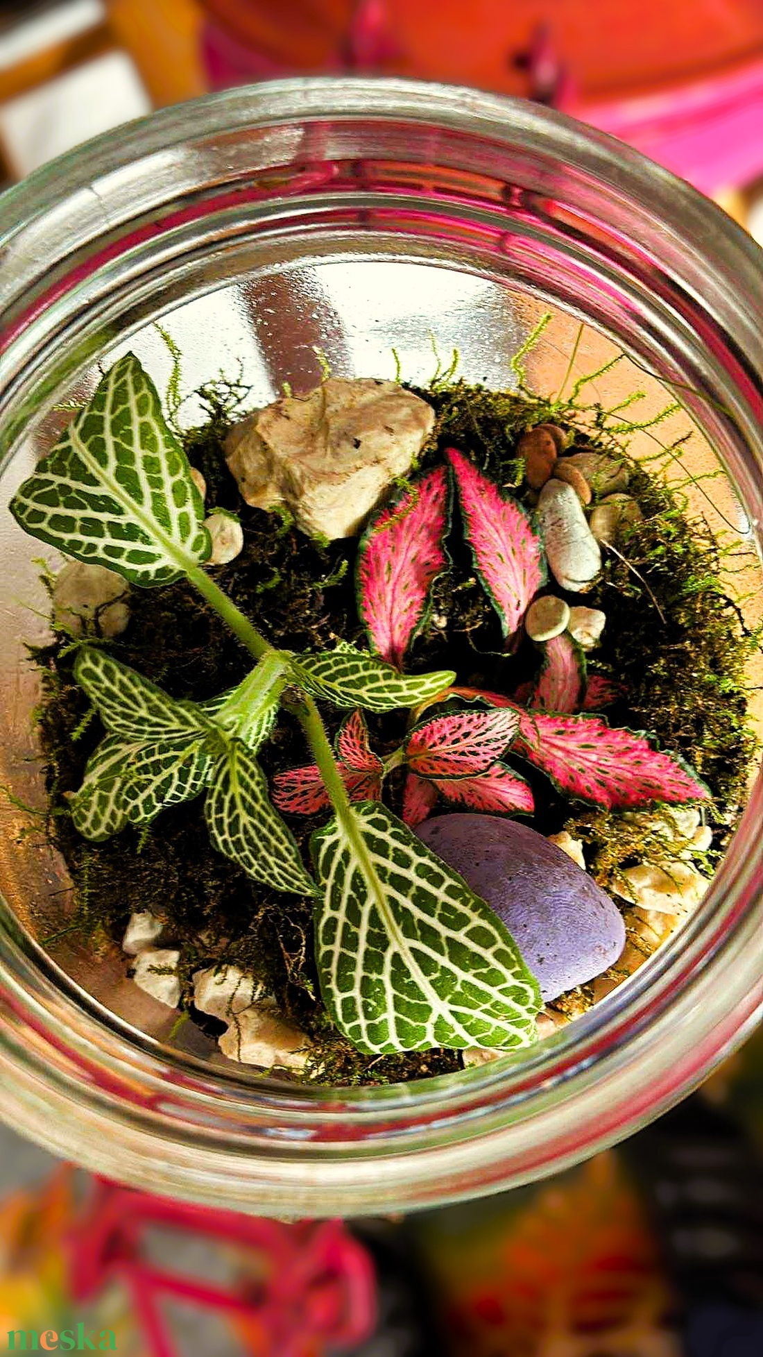Csatos üvegben - 0,5 L-es önfenntartó florárium - otthon & életmód - dekoráció - asztal és polc dekoráció - florárium, terrárium - Meska.hu