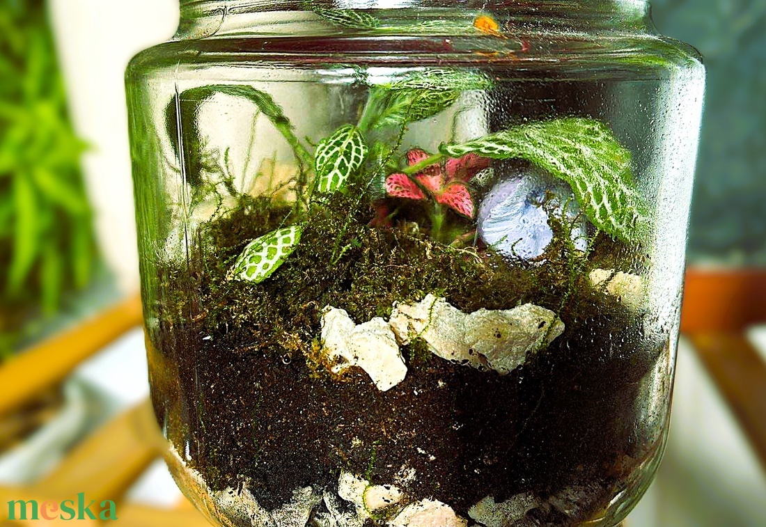Csatos üvegben - 0,5 L-es önfenntartó florárium - otthon & életmód - dekoráció - asztal és polc dekoráció - florárium, terrárium - Meska.hu