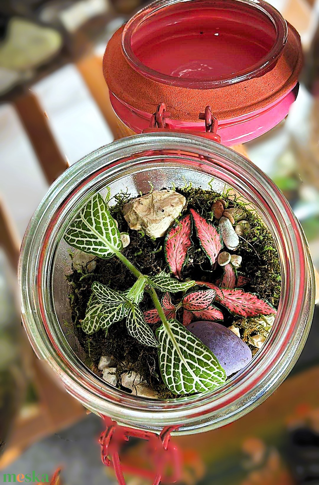 Csatos üvegben - 0,5 L-es önfenntartó florárium - otthon & életmód - dekoráció - asztal és polc dekoráció - florárium, terrárium - Meska.hu