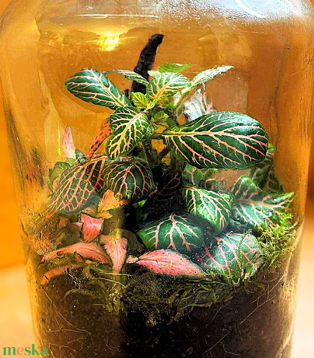 Fakéreggel feldobva - 1 L-es önfenntartó florárium - otthon & életmód - dekoráció - asztal és polc dekoráció - florárium, terrárium - Meska.hu