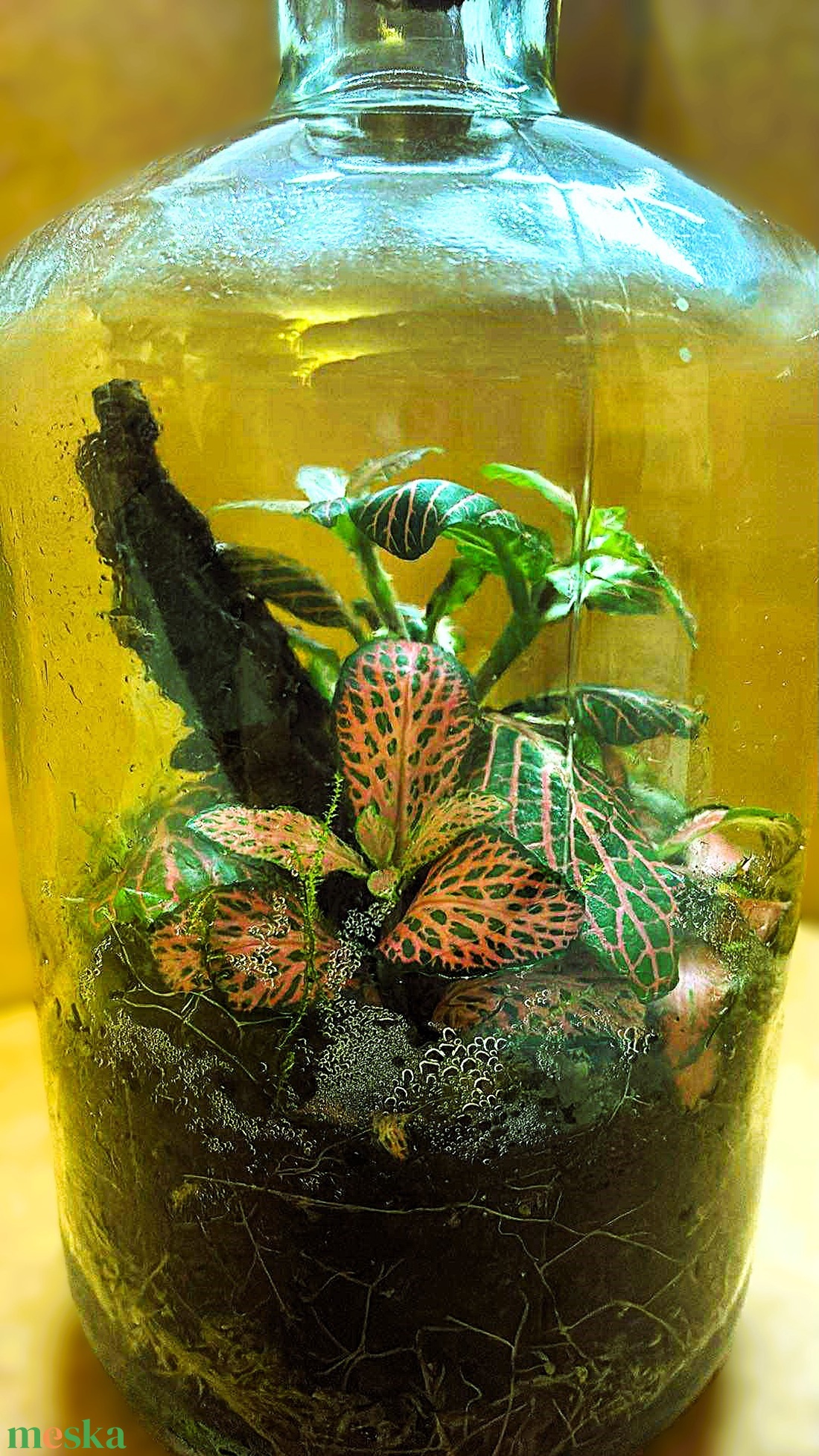 Fakéreggel feldobva - 1 L-es önfenntartó florárium - otthon & életmód - dekoráció - asztal és polc dekoráció - florárium, terrárium - Meska.hu