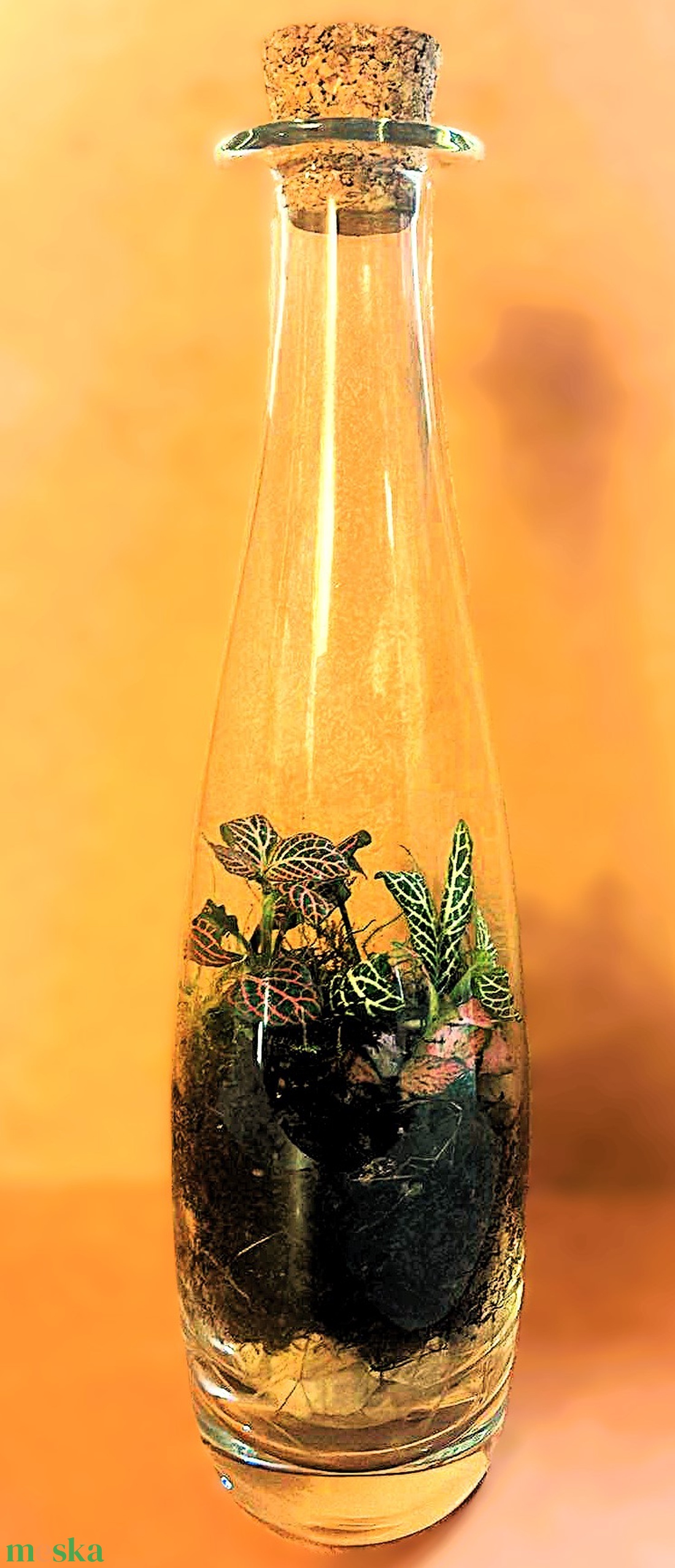 Karcsú kecsesség - 0,5 L-es önfenntartó florárium - otthon & életmód - dekoráció - asztal és polc dekoráció - florárium, terrárium - Meska.hu