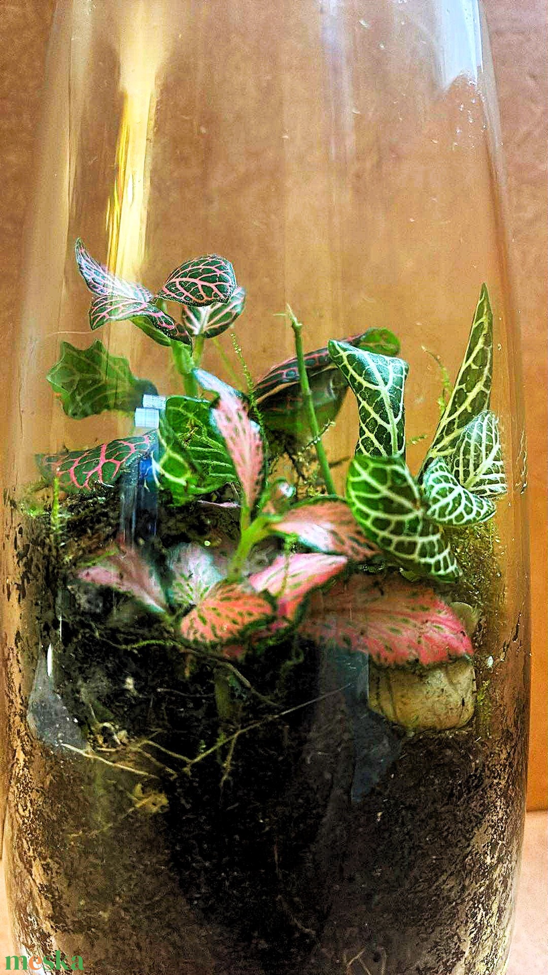 Karcsú kecsesség - 0,5 L-es önfenntartó florárium - otthon & életmód - dekoráció - asztal és polc dekoráció - florárium, terrárium - Meska.hu
