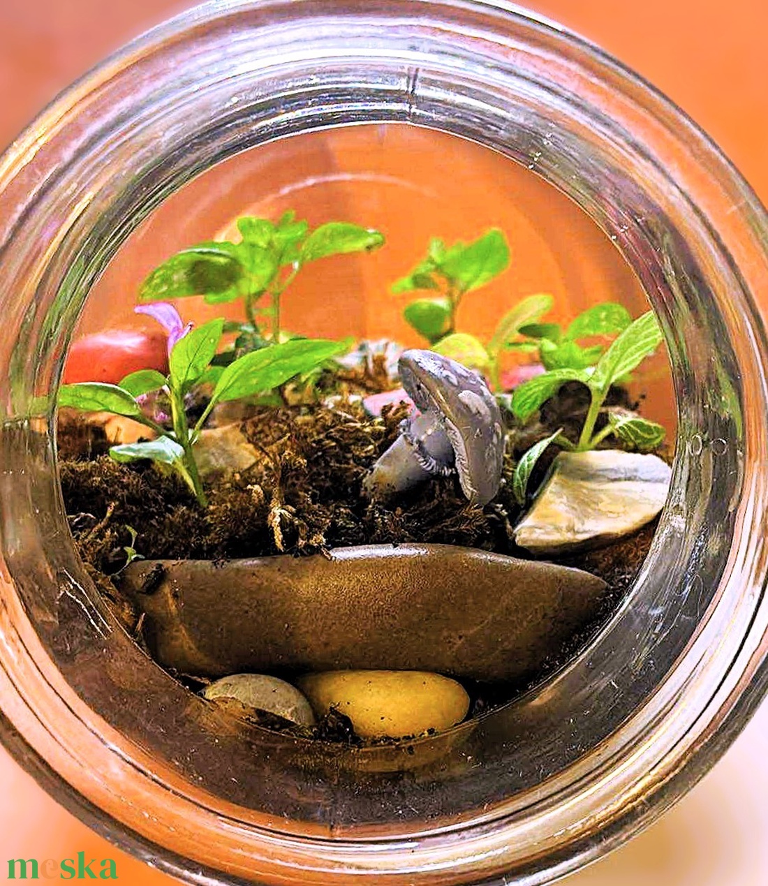 Gombákkal díszítve - 2 L-es önfenntartó florárium - otthon & életmód - dekoráció - asztal és polc dekoráció - florárium, terrárium - Meska.hu