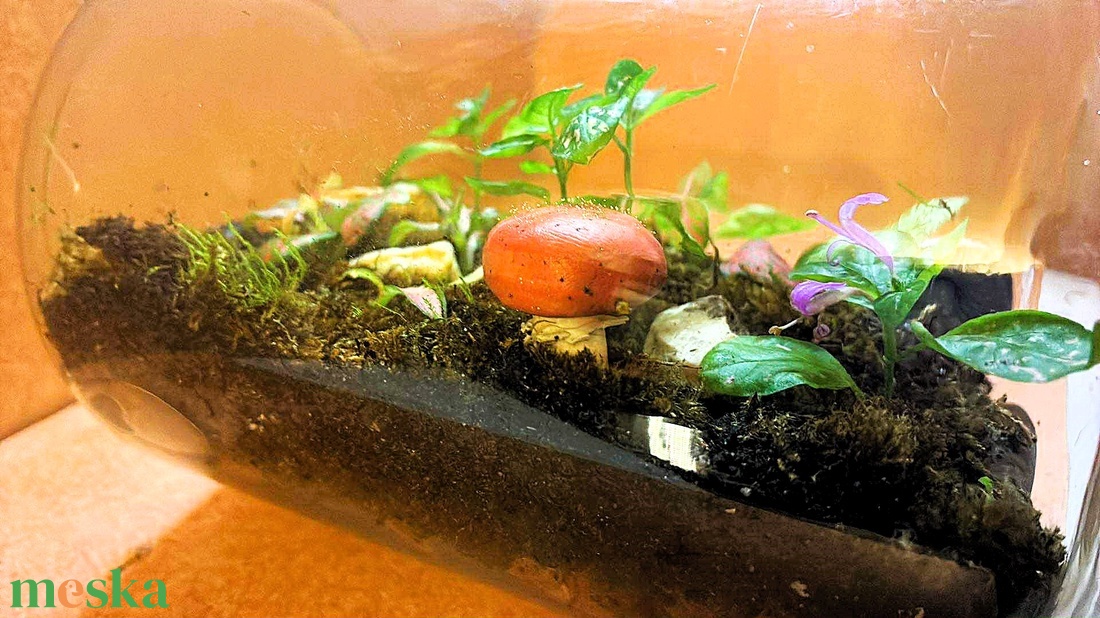 Gombákkal díszítve - 2 L-es önfenntartó florárium - otthon & életmód - dekoráció - asztal és polc dekoráció - florárium, terrárium - Meska.hu