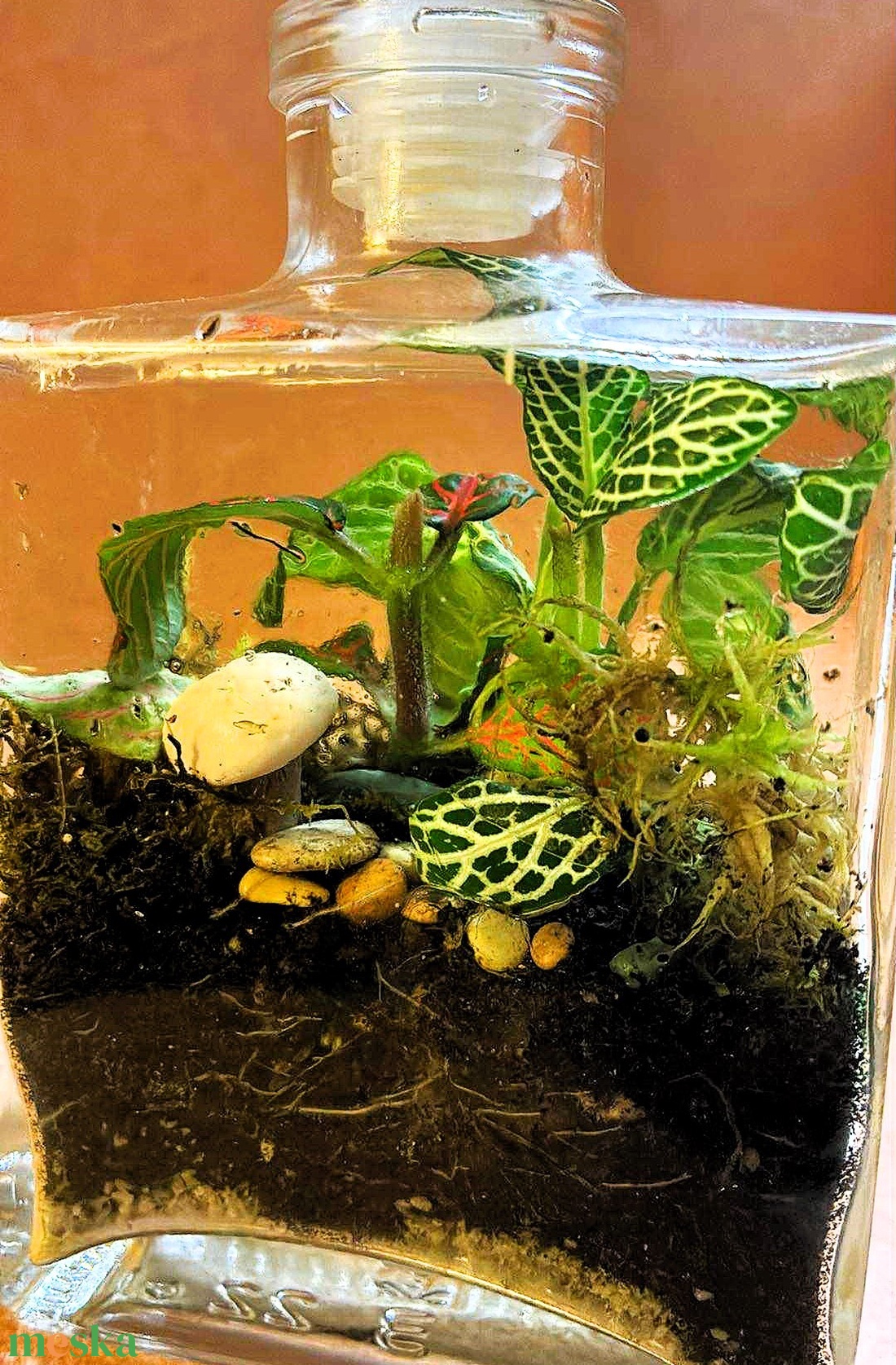 Parfümös üvegben - 2 dl-es önfenntartó florárium - otthon & életmód - dekoráció - asztal és polc dekoráció - florárium, terrárium - Meska.hu