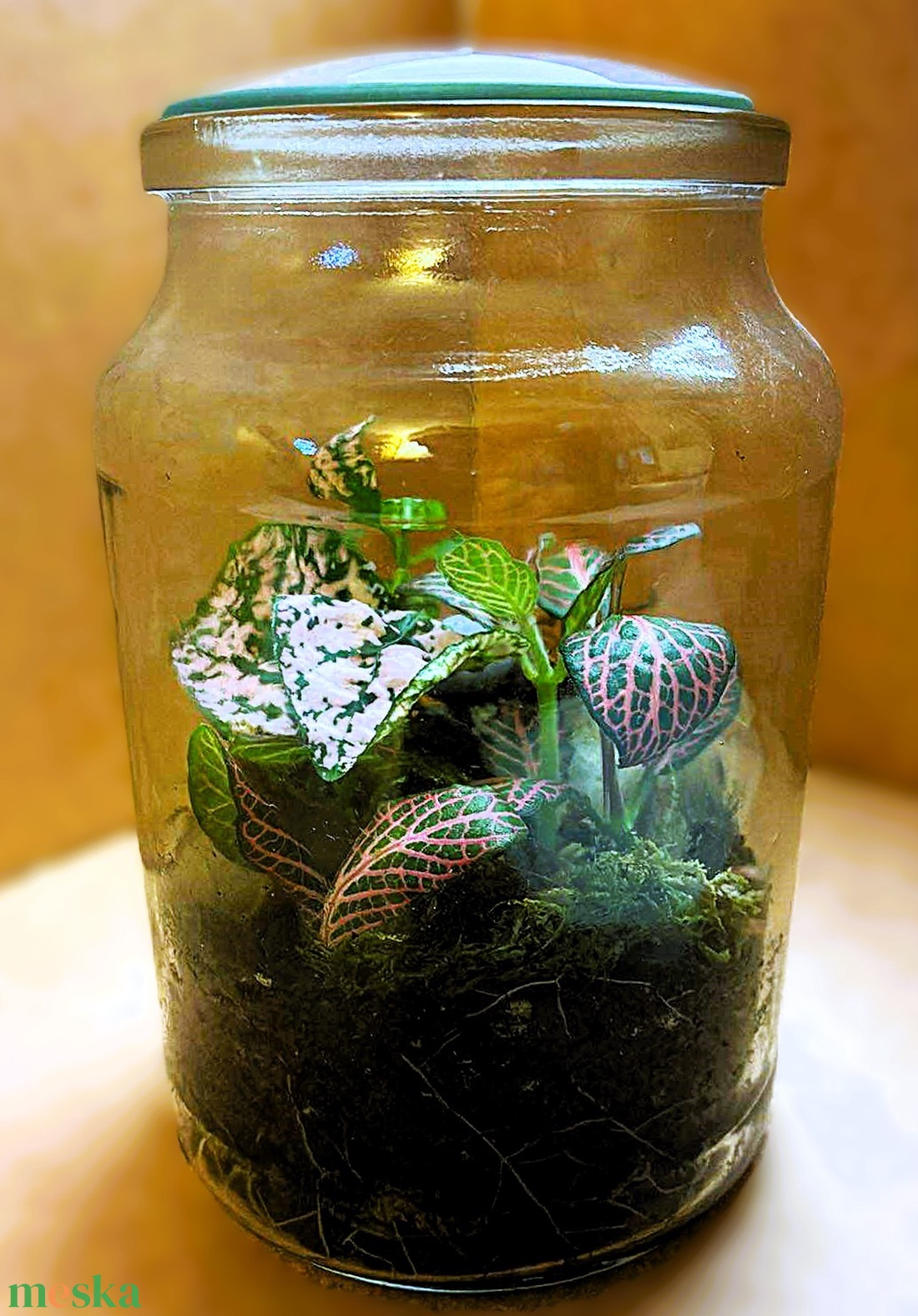 Üveglencse alatt - 0,5 L-es önfenntartó florárium - otthon & életmód - dekoráció - asztal és polc dekoráció - florárium, terrárium - Meska.hu
