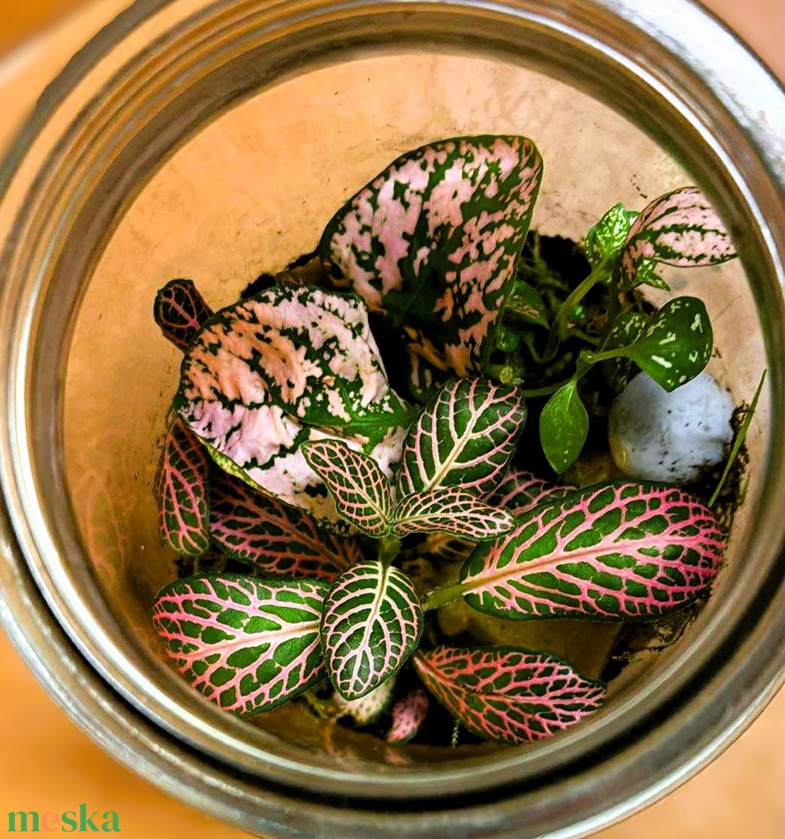 Üveglencse alatt - 0,5 L-es önfenntartó florárium - otthon & életmód - dekoráció - asztal és polc dekoráció - florárium, terrárium - Meska.hu