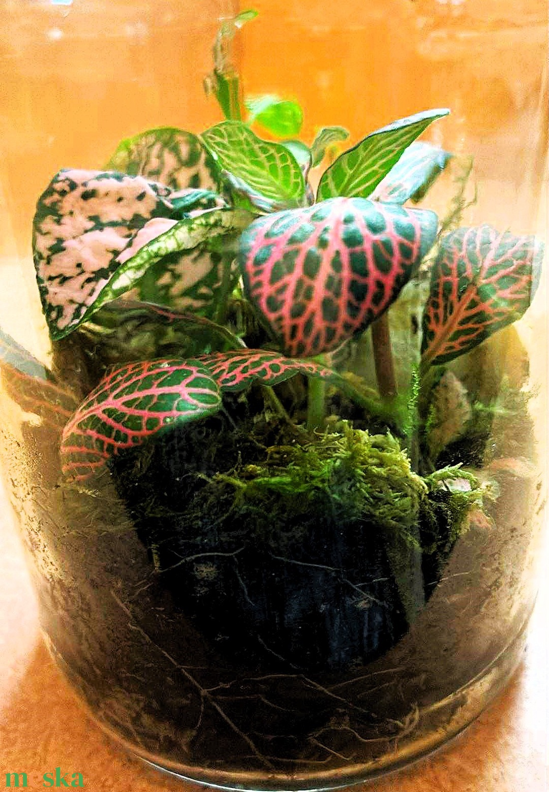 Üveglencse alatt - 0,5 L-es önfenntartó florárium - otthon & életmód - dekoráció - asztal és polc dekoráció - florárium, terrárium - Meska.hu