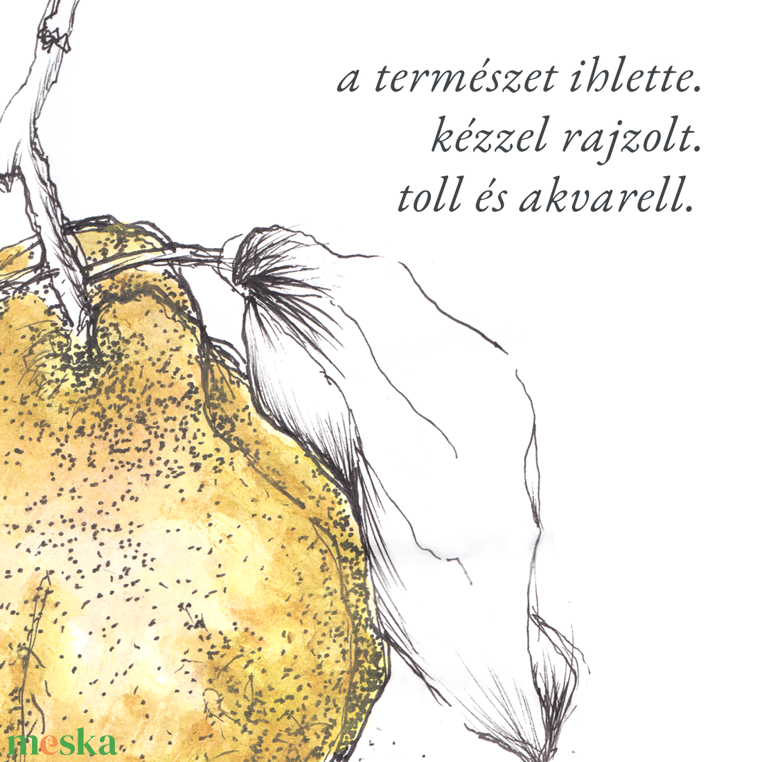 NYOMTATHATÓ Természet ihlette botanikai kép: Birskörte - művészet - grafika & illusztráció - digitális - Meska.hu