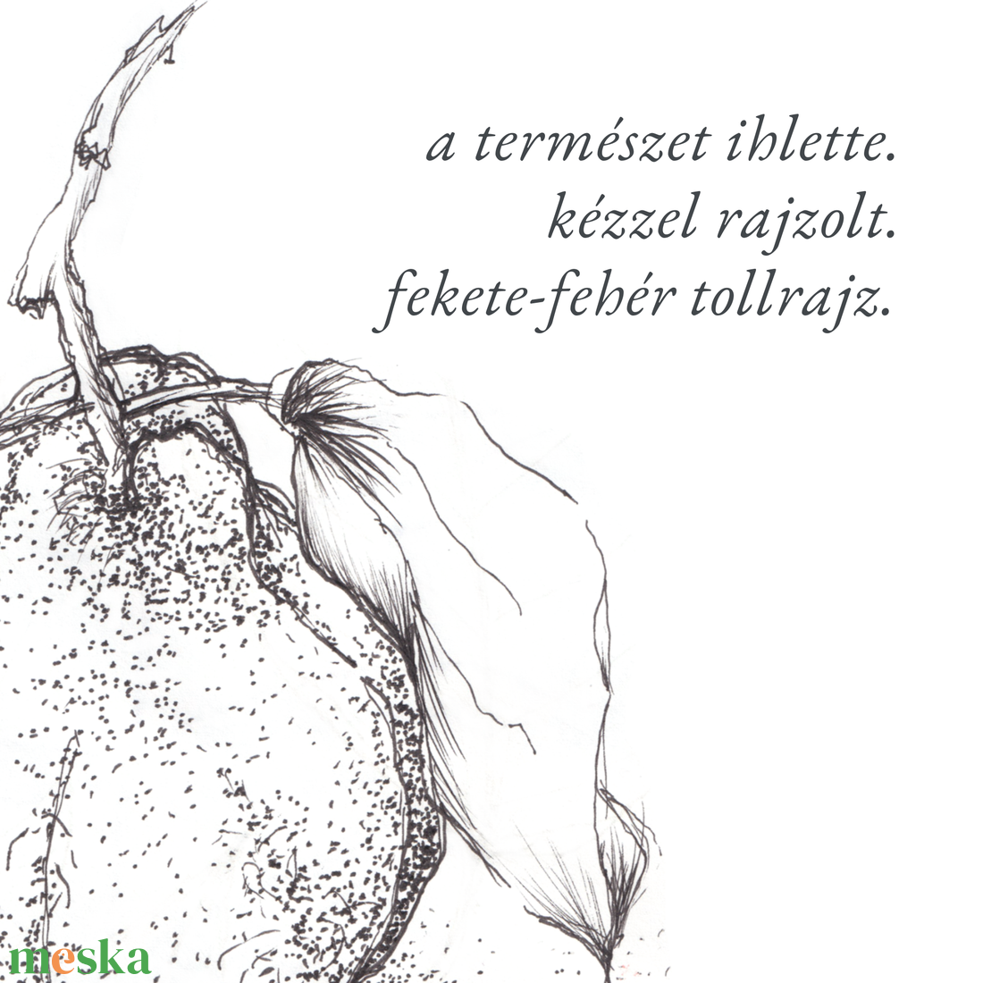 NYOMTATHATÓ Természet ihlette botanikai kép: Birskörte - művészet - grafika & illusztráció - digitális - Meska.hu