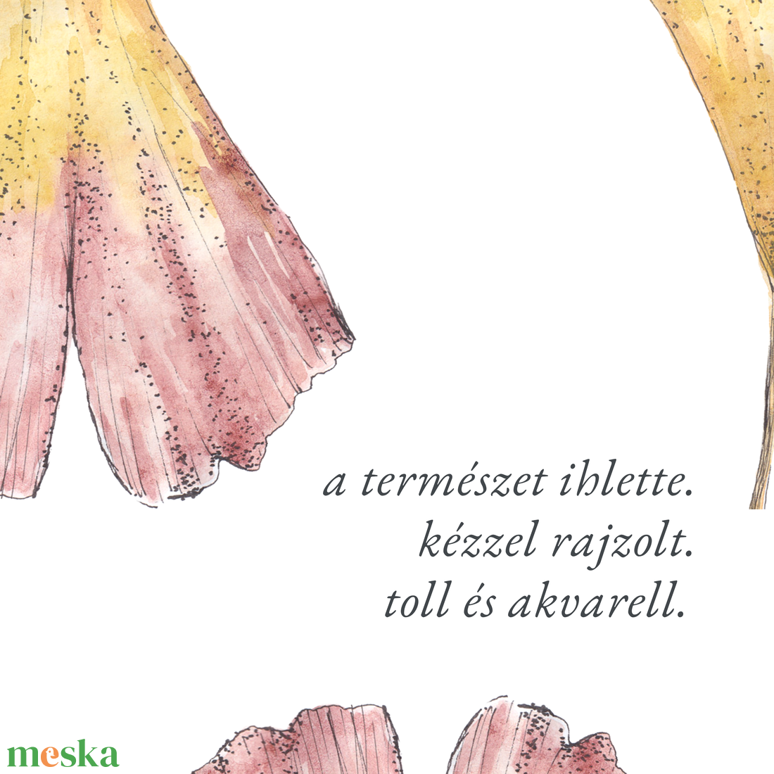 Páfrányfenyő-levelek (botanikai illusztráció) NYOMTATHATÓ  - művészet - grafika & illusztráció - digitális - Meska.hu