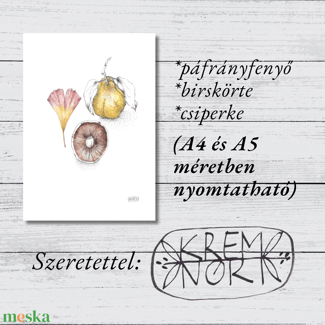 Csiperke, Páfrányfenyő, Birskörte - NYOMTATHATÓ botanikai illusztráció - művészet - grafika & illusztráció - digitális - Meska.hu