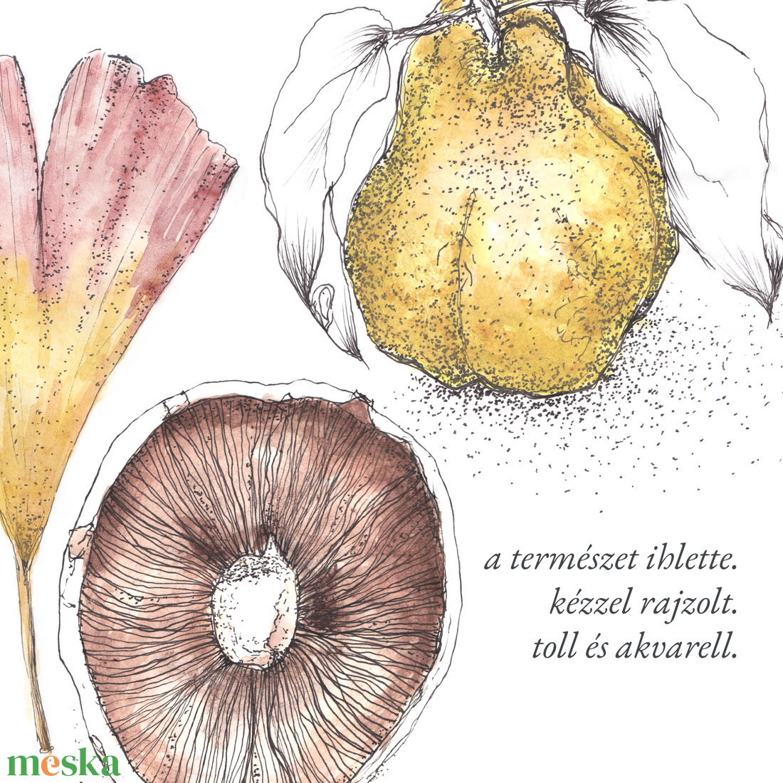 Csiperke, Páfrányfenyő, Birskörte - NYOMTATHATÓ botanikai illusztráció - művészet - grafika & illusztráció - digitális - Meska.hu