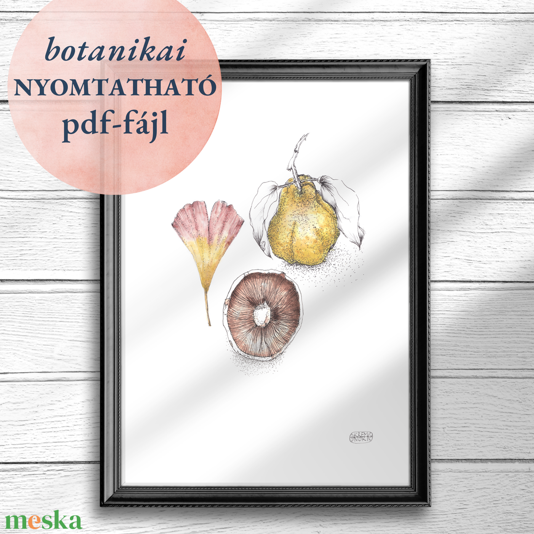 Csiperke, Páfrányfenyő, Birskörte - NYOMTATHATÓ botanikai illusztráció - művészet - grafika & illusztráció - digitális - Meska.hu