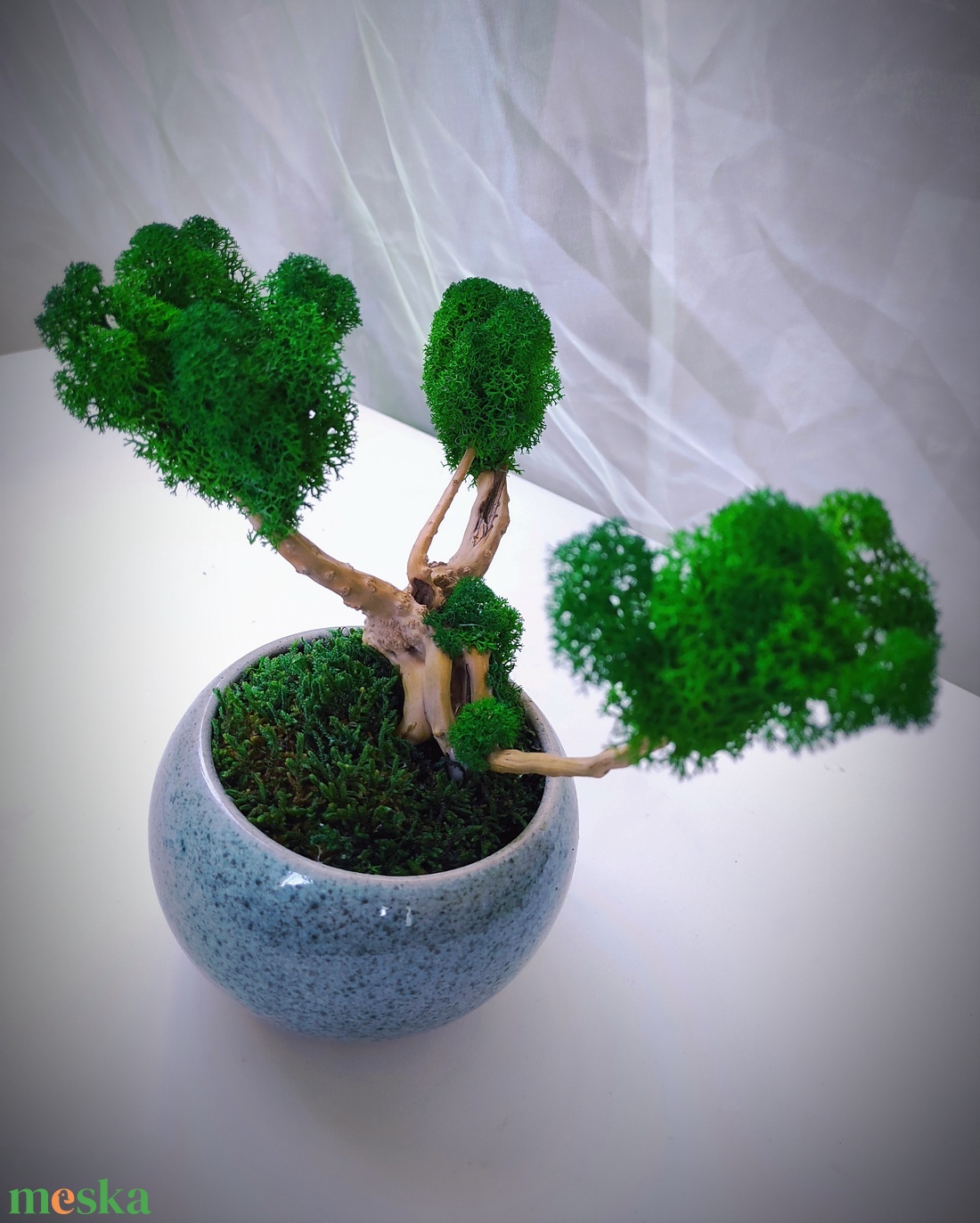 Tartósított bonsai fa izlandi zuzmóval és stabilizált mohával - otthon & életmód - dekoráció - asztal és polc dekoráció - zuzmódekoráció, mohadekoráció - Meska.hu